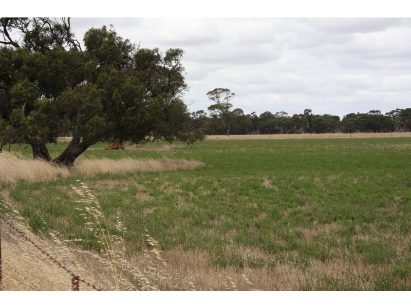 ‘Rosedale’ Rowneys Road, Mundulla SA 5270