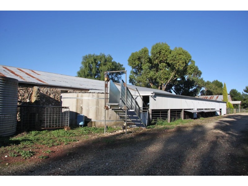 00 Moyhall Road, Bool Lagoon SA 5271