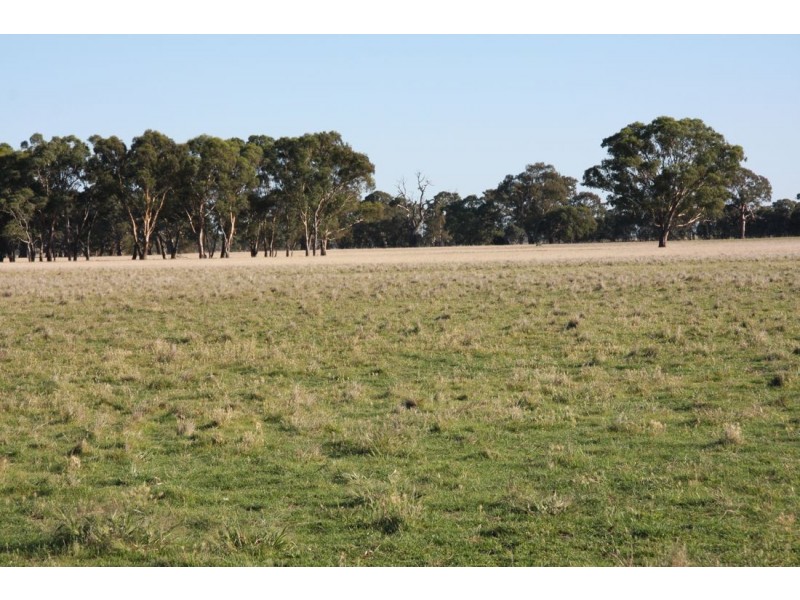 00 Moyhall Road, Bool Lagoon SA 5271