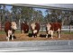 Mulligans Mulligans Rd, Penola SA 5277
