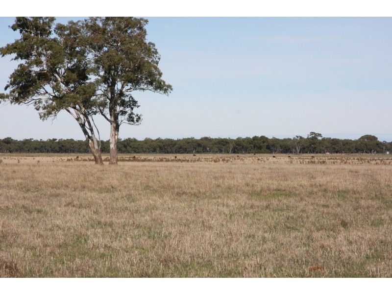 Mulligans Mulligans Rd, Penola SA 5277