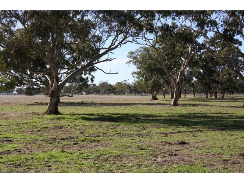 Mulligans Mulligans Rd, Penola SA 5277