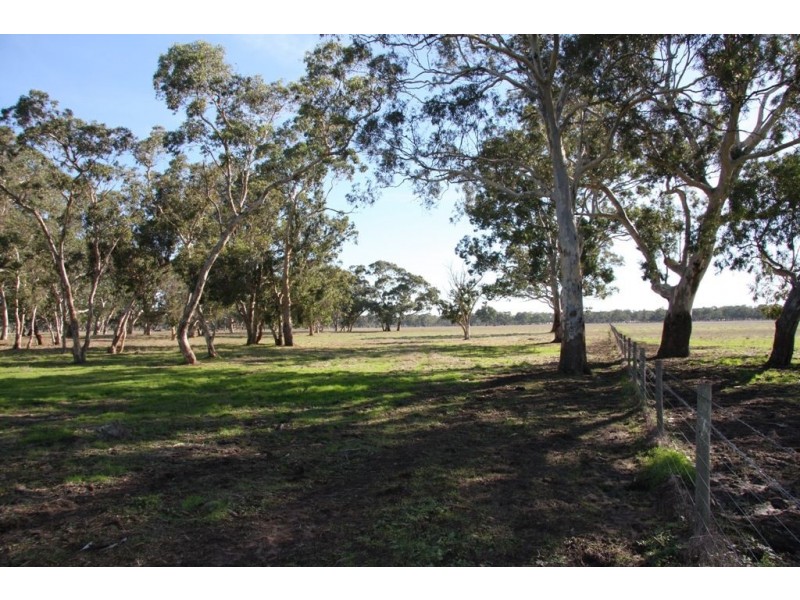 Mulligans Mulligans Rd, Penola SA 5277