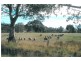 00 Chetwynd East Road, Chetwynd VIC 3312