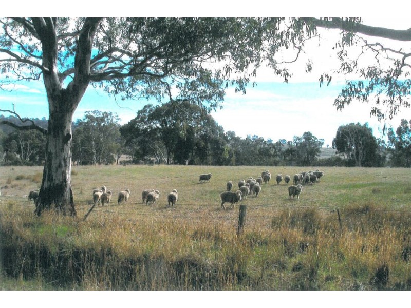 00 Chetwynd East Road, Chetwynd VIC 3312