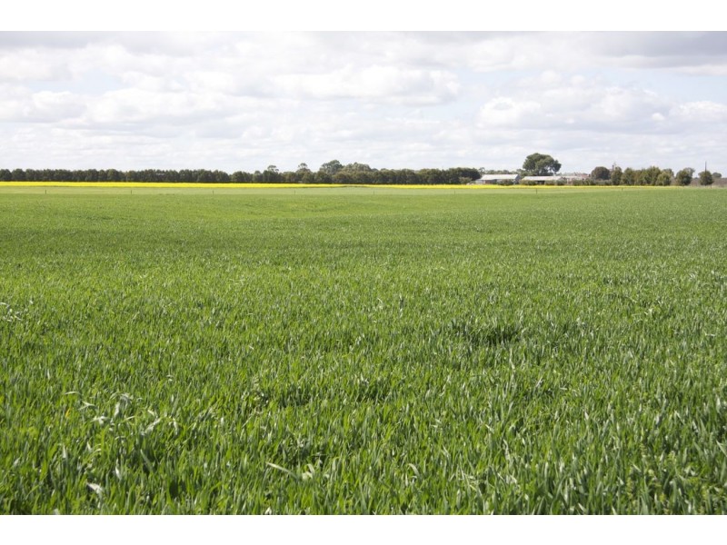 00 Bool Lagoon Road, Naracoorte SA 5271