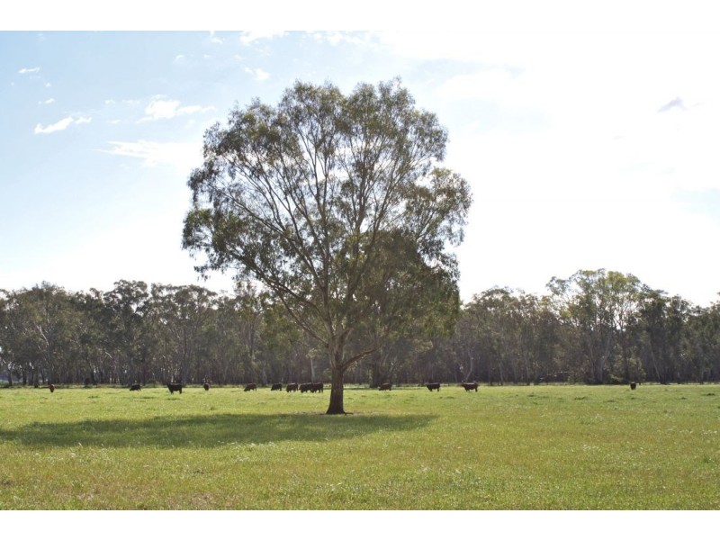 105 Lock’s Road, Naracoorte SA 5271