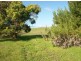 Lot 26 Sutherland Drive, Beachport SA 5280