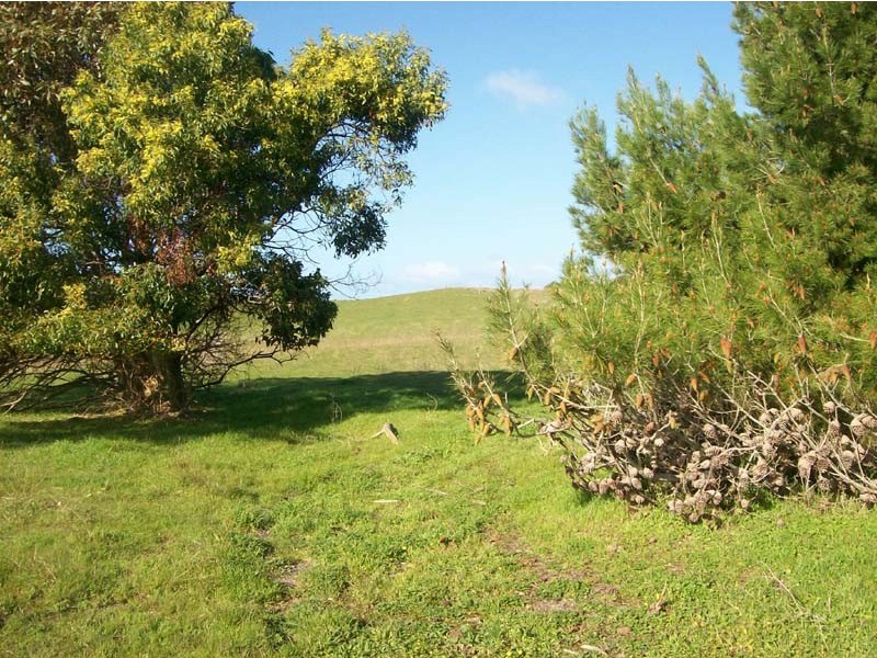 Lot 26 Sutherland Drive, Beachport SA 5280