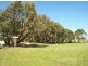 236 Rivoli Drive, Beachport SA 5280
