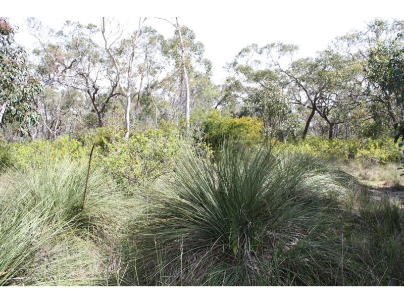 55 Mount McIntosh Road, Naracoorte SA 5271