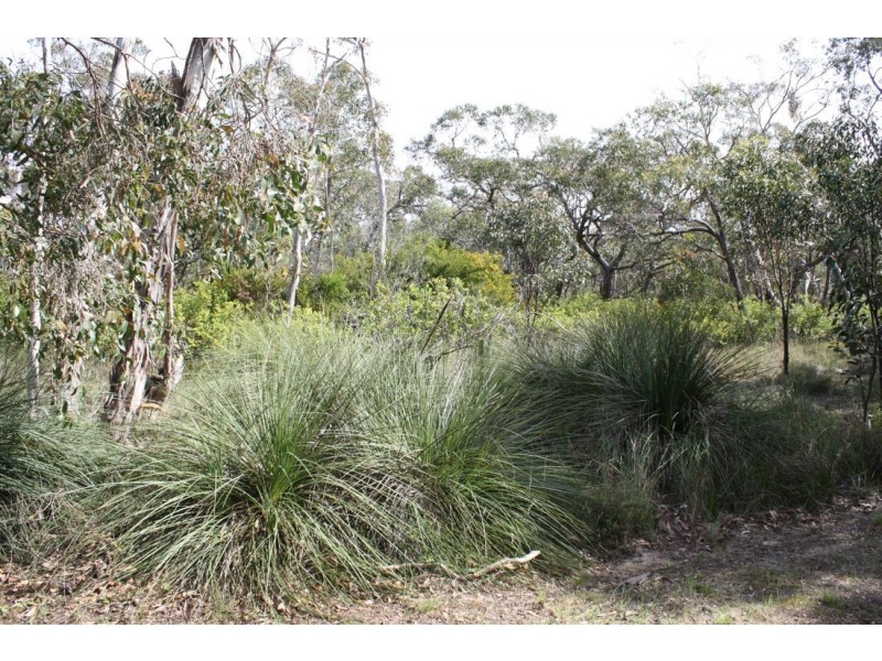 55 Mount McIntosh Road, Naracoorte SA 5271