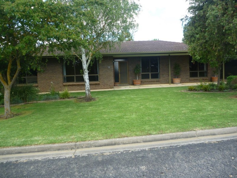 3 Palm Street, Naracoorte SA 5271