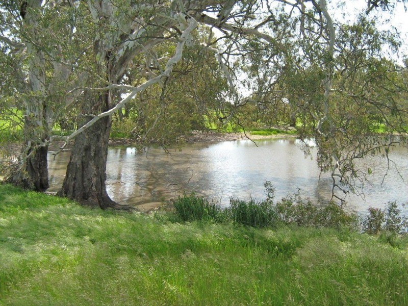 00 Swede’s Flat via, Padthaway SA 5271