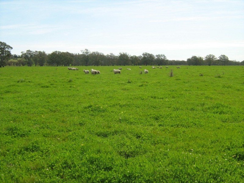 00 Swede’s Flat via, Padthaway SA 5271