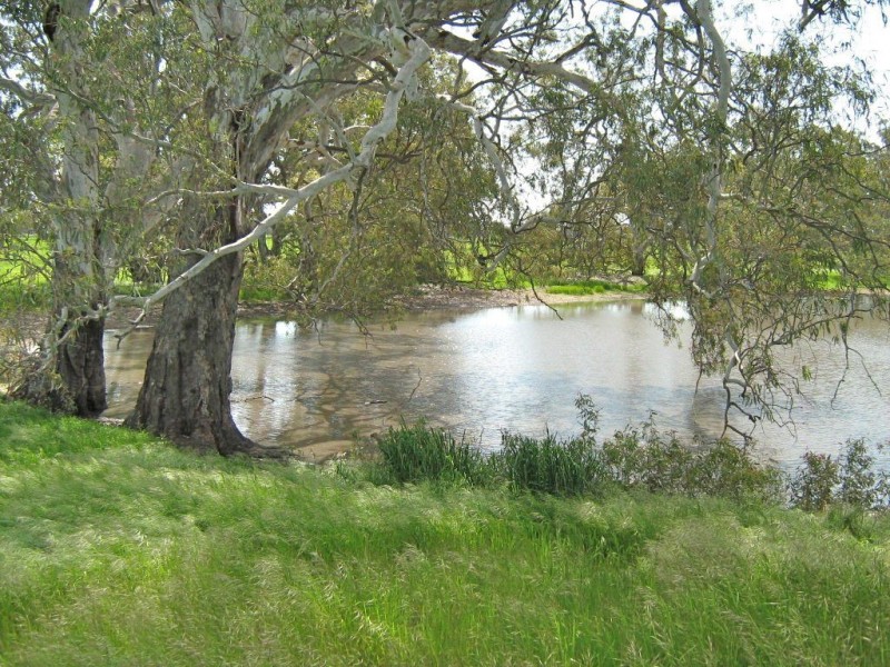 00 Swede’s Flat via, Padthaway SA 5271