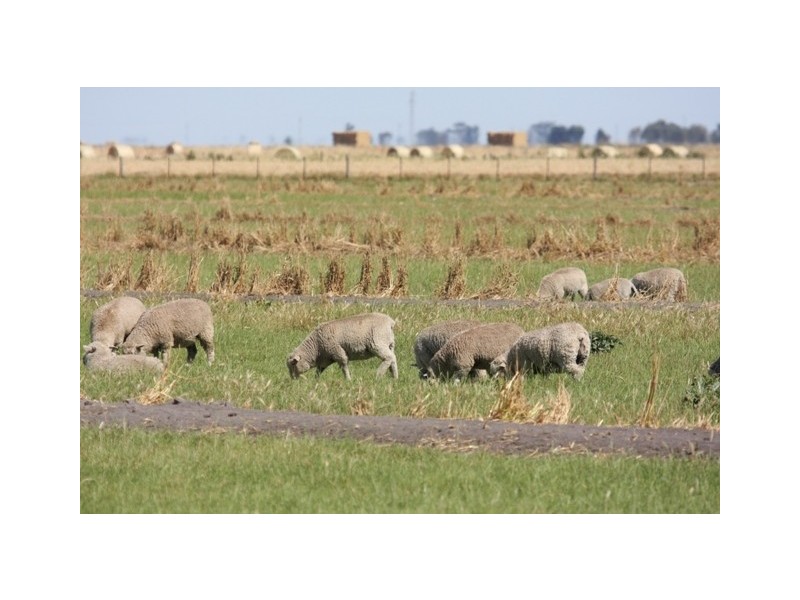 Lot A and B Gum Point Road, Naracoorte SA 5271