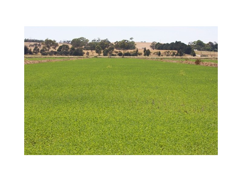 Lot A and B Gum Point Road, Naracoorte SA 5271