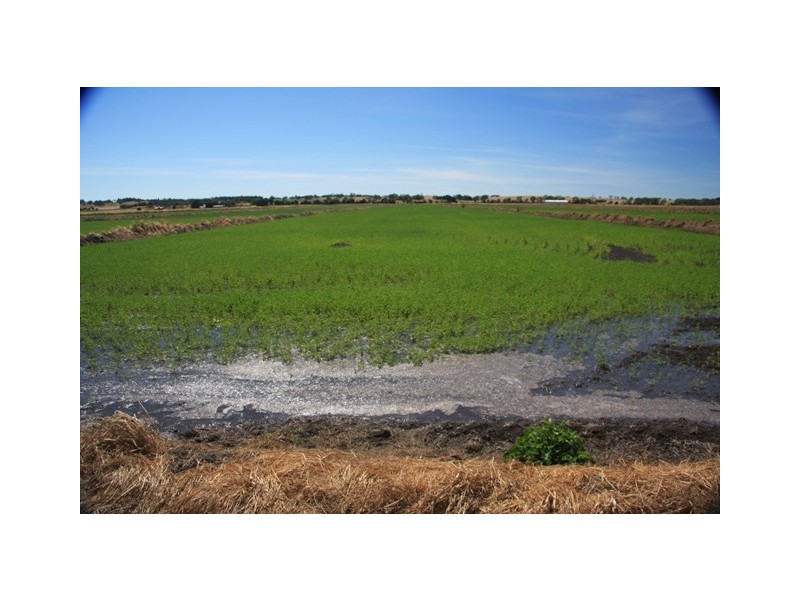 Lot A and B Gum Point Road, Naracoorte SA 5271