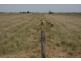 Lot A and B Gum Point Road, Naracoorte SA 5271