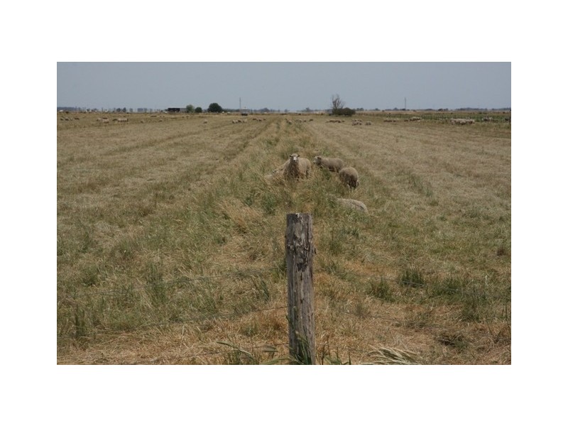 Lot A and B Gum Point Road, Naracoorte SA 5271