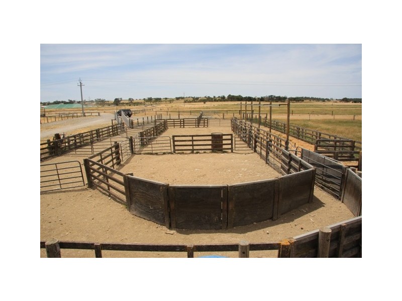 Lot A and B Gum Point Road, Naracoorte SA 5271