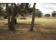 14 Adamson Terrace, Bordertown SA 5268