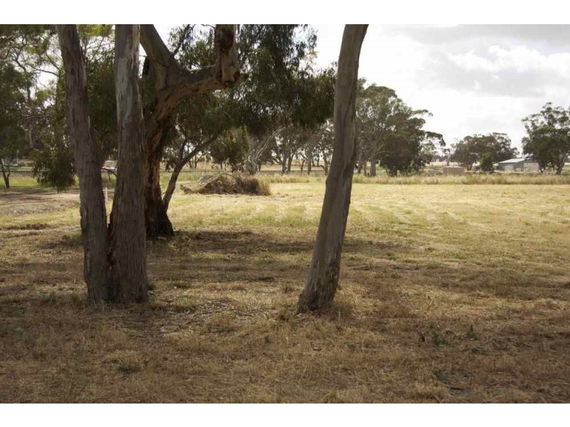 14 Adamson Terrace, Bordertown SA 5268