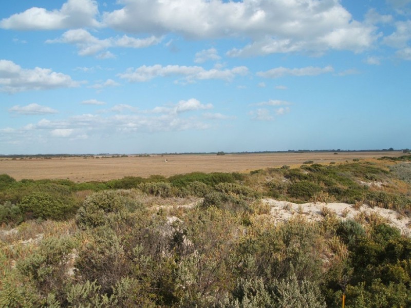 97 and 104 Wrights Bay Road, Mount Benson SA 5275