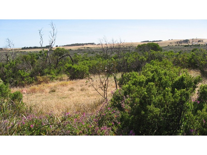 466 and 467 Southern Port Highwy, Robe SA 5276