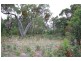 Lot 3 Mason Road, Naracoorte SA 5271