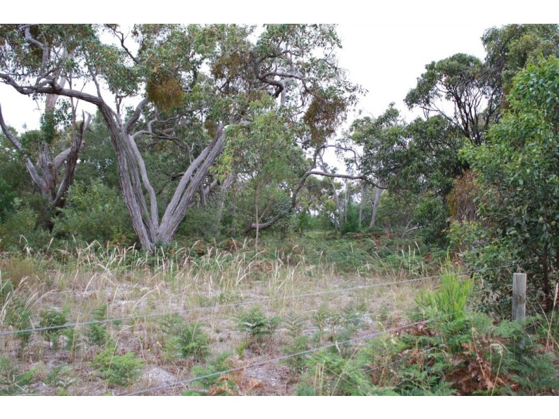 Lot 3 Mason Road, Naracoorte SA 5271