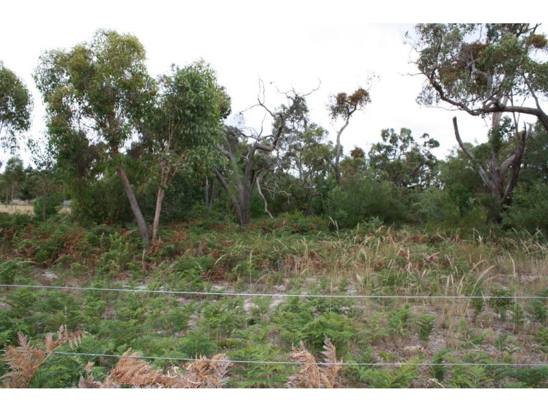 Lot 3 Mason Road, Naracoorte SA 5271
