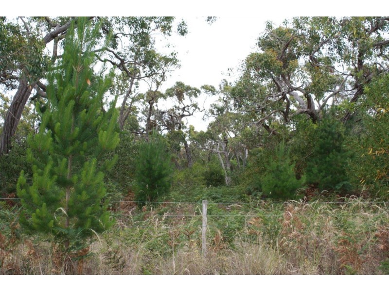 Lot 3 Mason Road, Naracoorte SA 5271