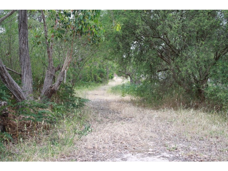 Lot 3 Mason Road, Naracoorte SA 5271