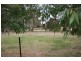 Lot 28 Burkes Road, Naracoorte SA 5271