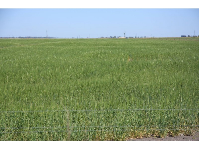 00 Gum Point Road, Naracoorte SA 5271