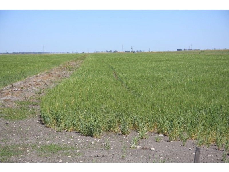 00 Gum Point Road, Naracoorte SA 5271