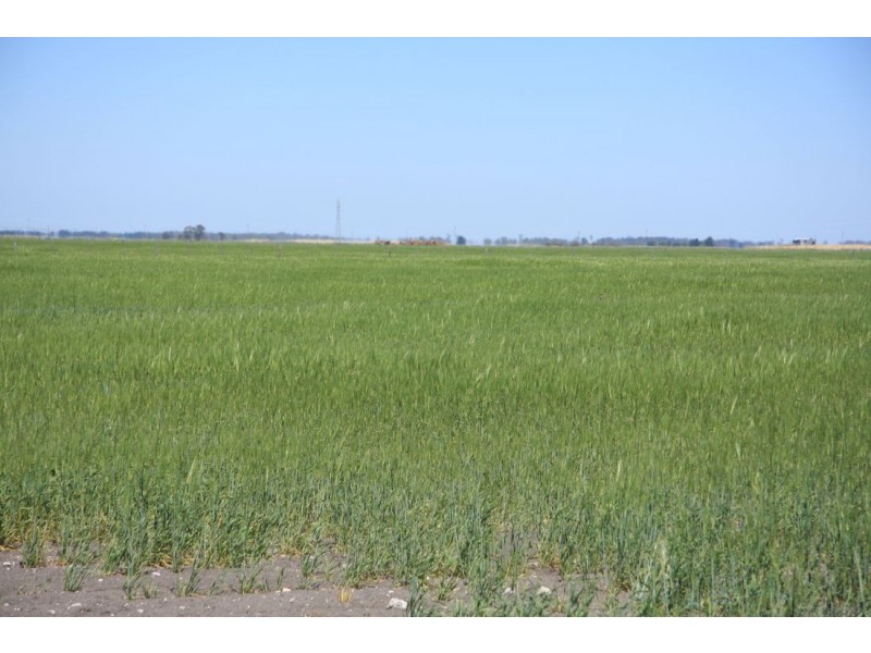 00 Gum Point Road, Naracoorte SA 5271