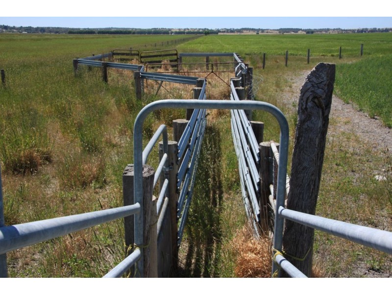 00 Gum Point Road, Naracoorte SA 5271