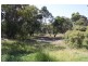 Lot 10 Repeater Station Road, Naracoorte SA 5271