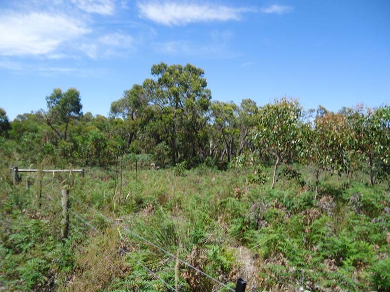 Lots 4 and 5 off Ellisons Road, Lucindale SA 5272