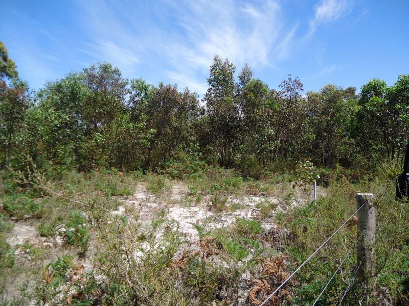 Lots 4 and 5 off Ellisons Road, Lucindale SA 5272