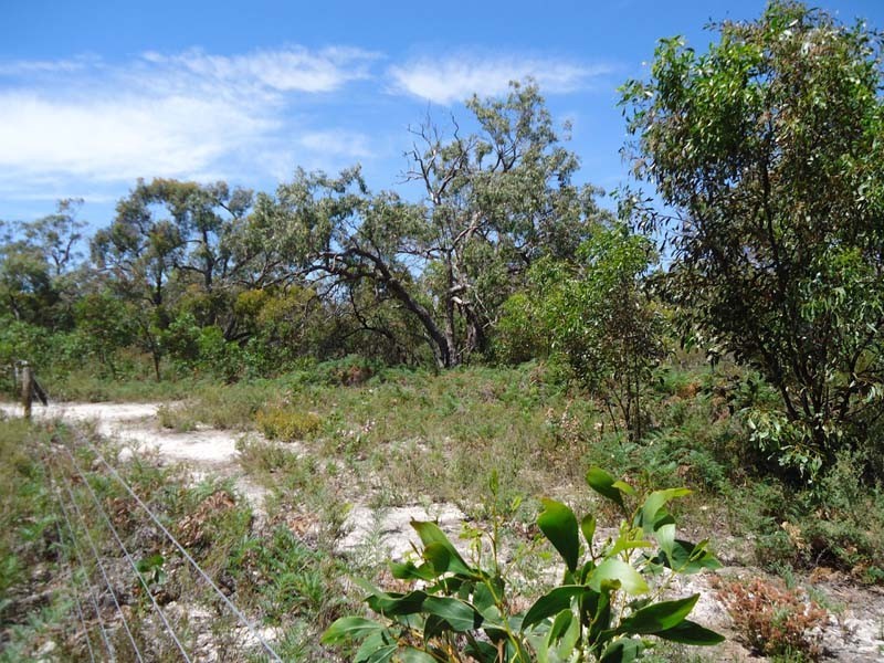 Lots 4 and 5 off Ellisons Road, Lucindale SA 5272