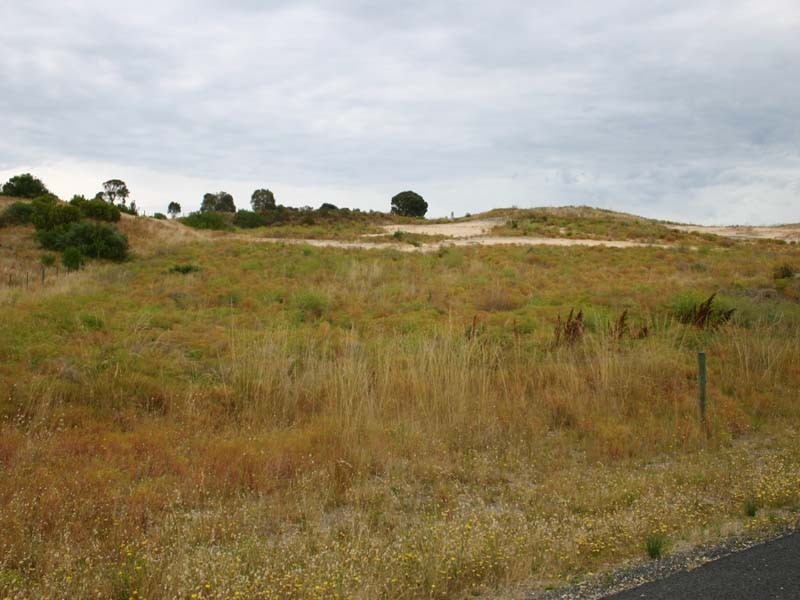 110 George Ormerod Drive, Robe SA 5276