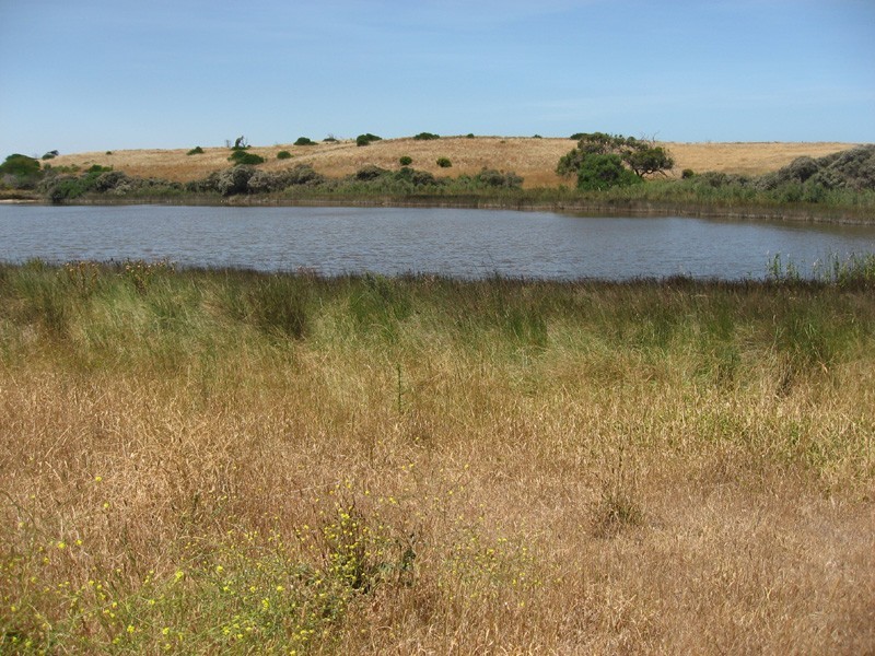 Allotment 12 Nora Creina Road, Robe SA 5276