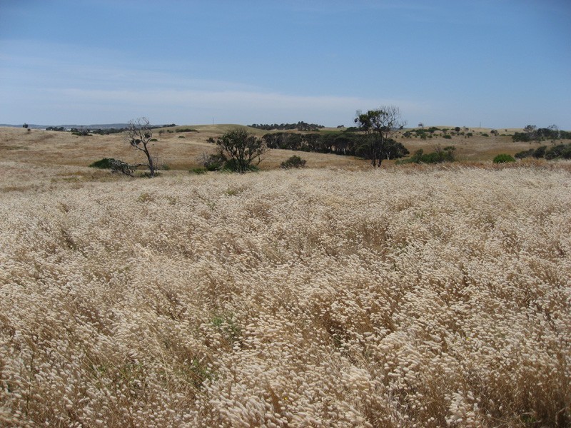 Allotment 12 Nora Creina Road, Robe SA 5276