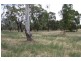Lot 5 Mahoney Road, Naracoorte SA 5271