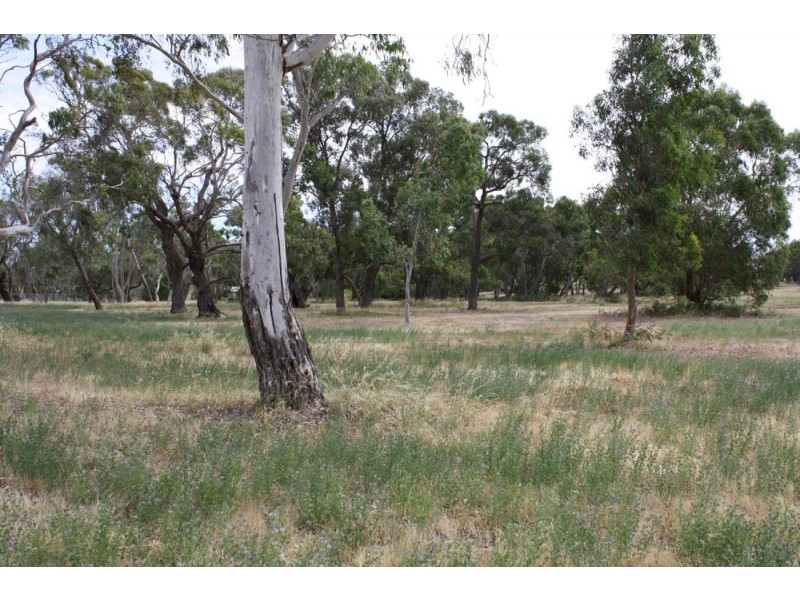 Lot 5 Mahoney Road, Naracoorte SA 5271