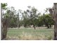 Lot 5 Mahoney Road, Naracoorte SA 5271